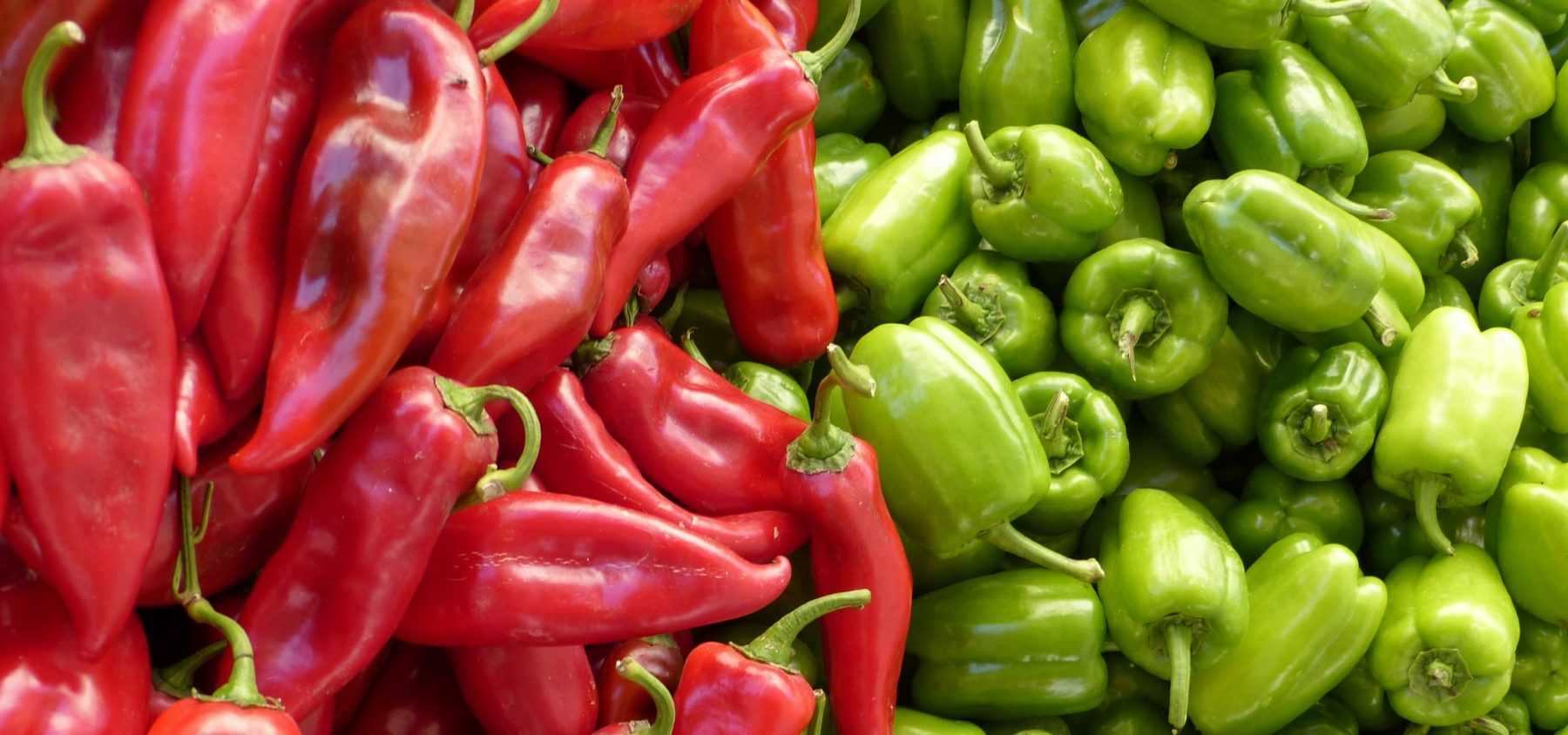 Growing Chillies and Peppers Successfully