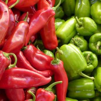 Growing Chillies and Peppers Successfully