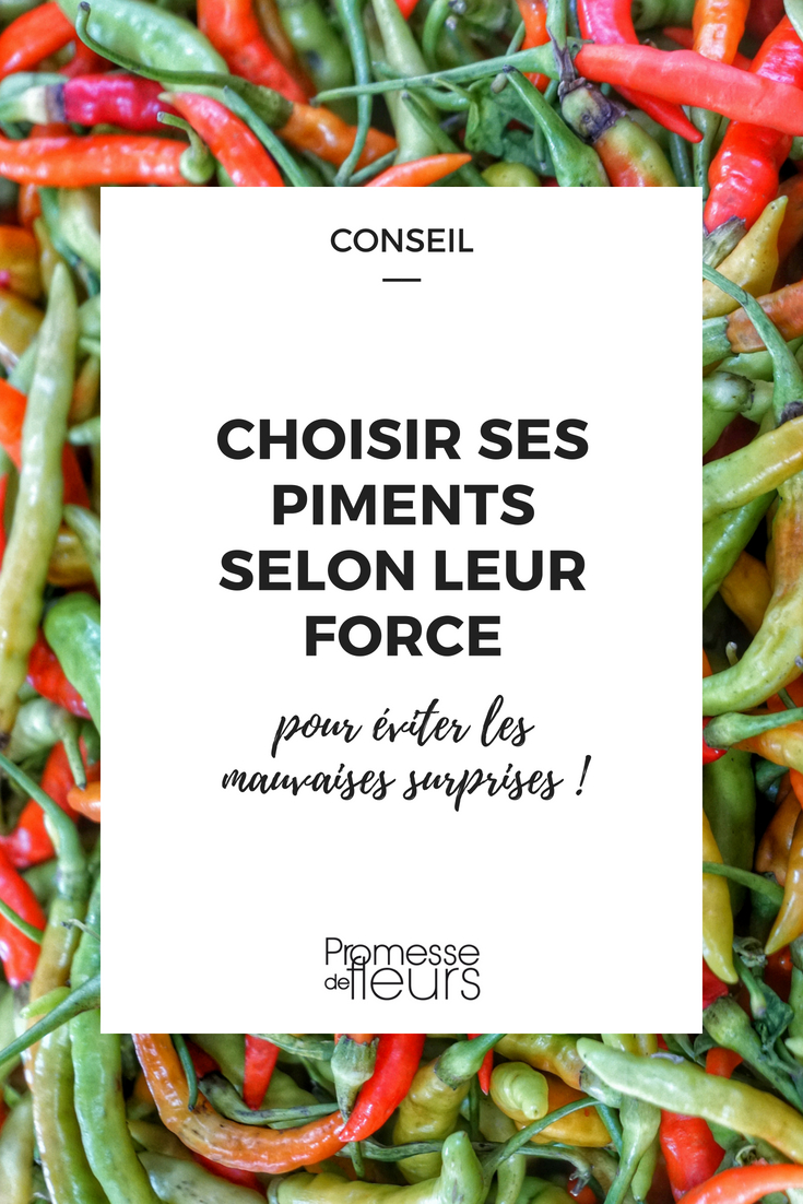 Choosing Chillies
