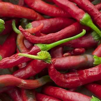The Strength of Chillies