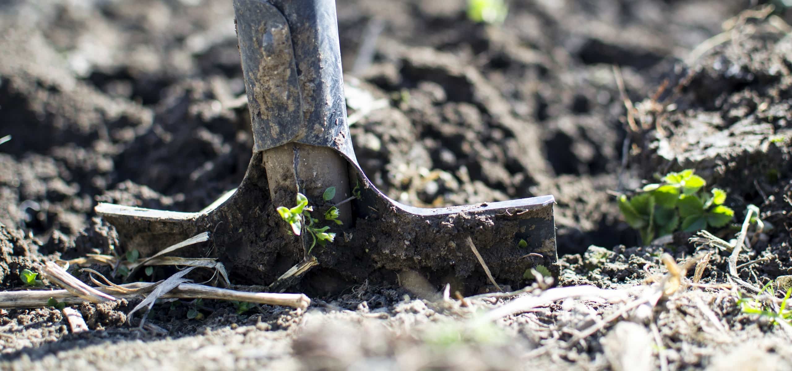 Feeding the Soil Naturally