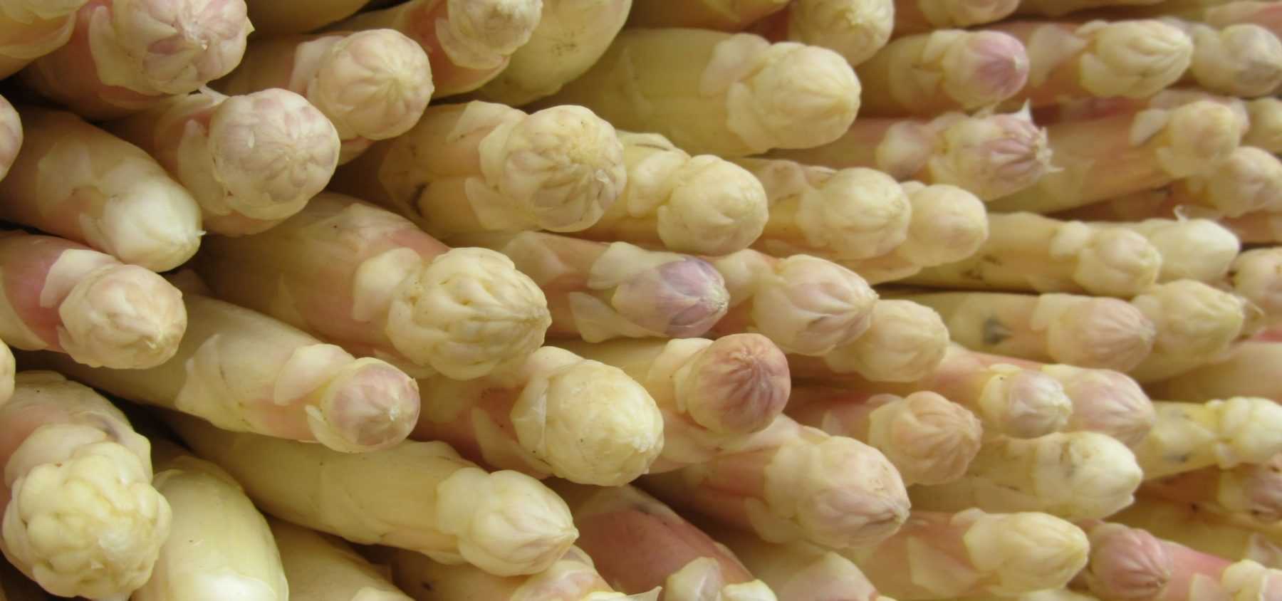 Growing Asparagus Successfully