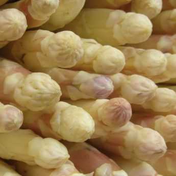 Growing Asparagus Successfully