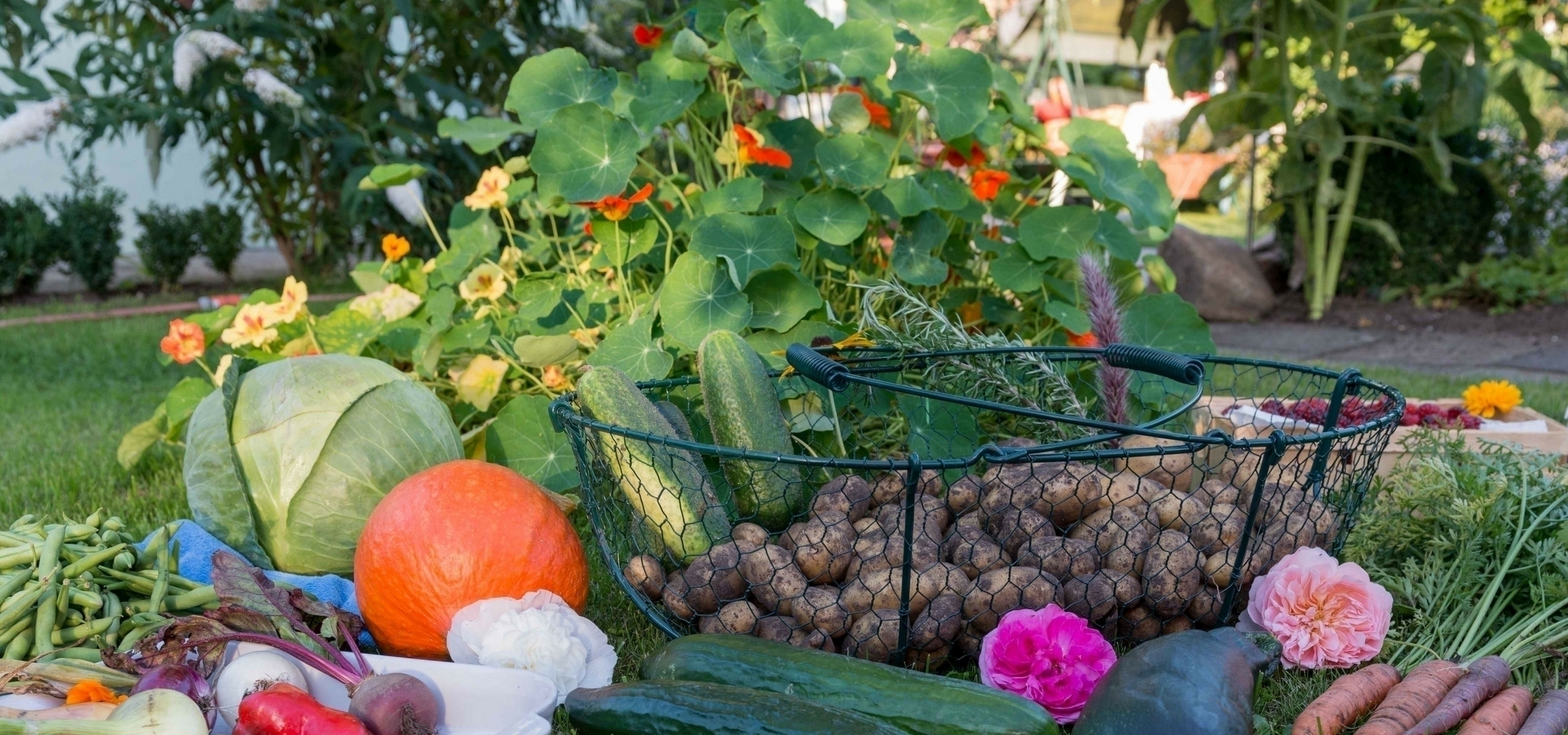 Companion planting in the vegetable garden