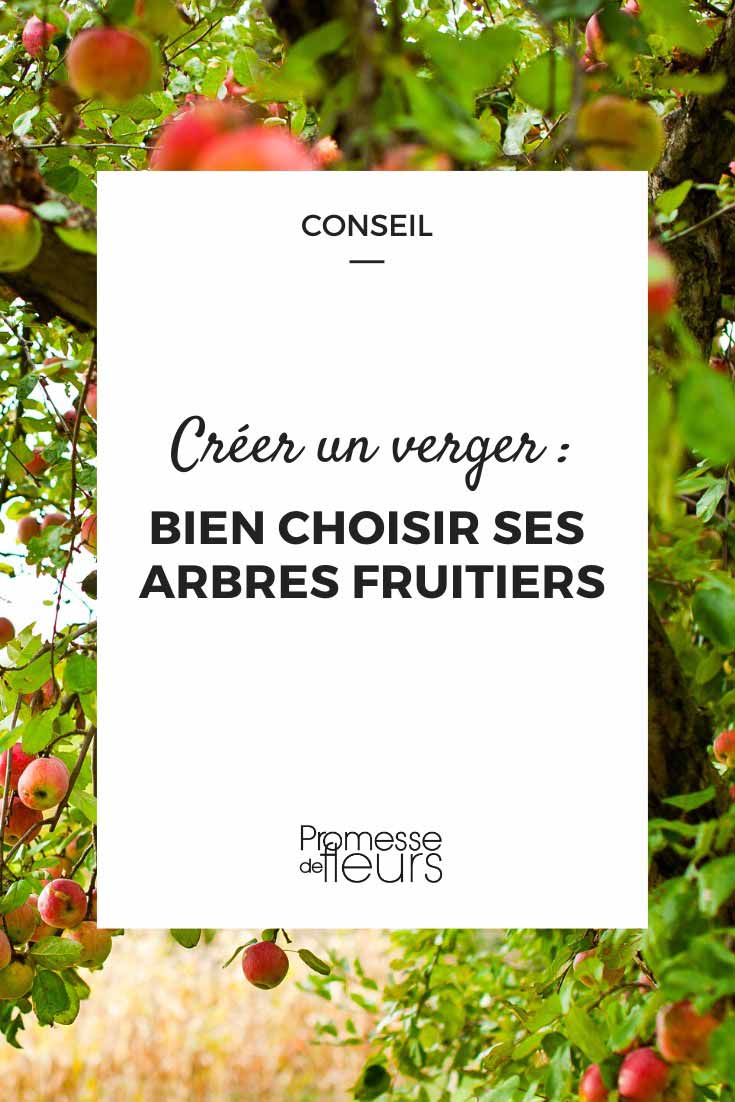 Orchard-Choosing-Fruit-Trees