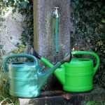 How to water vegetable gardens well in summer