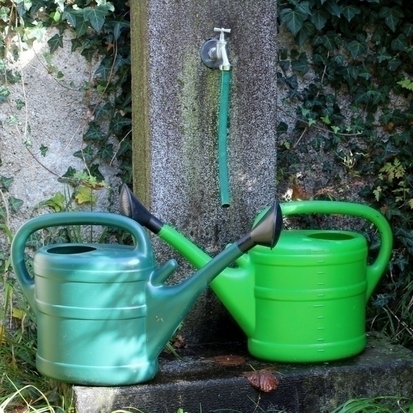 How to water vegetable gardens well in summer