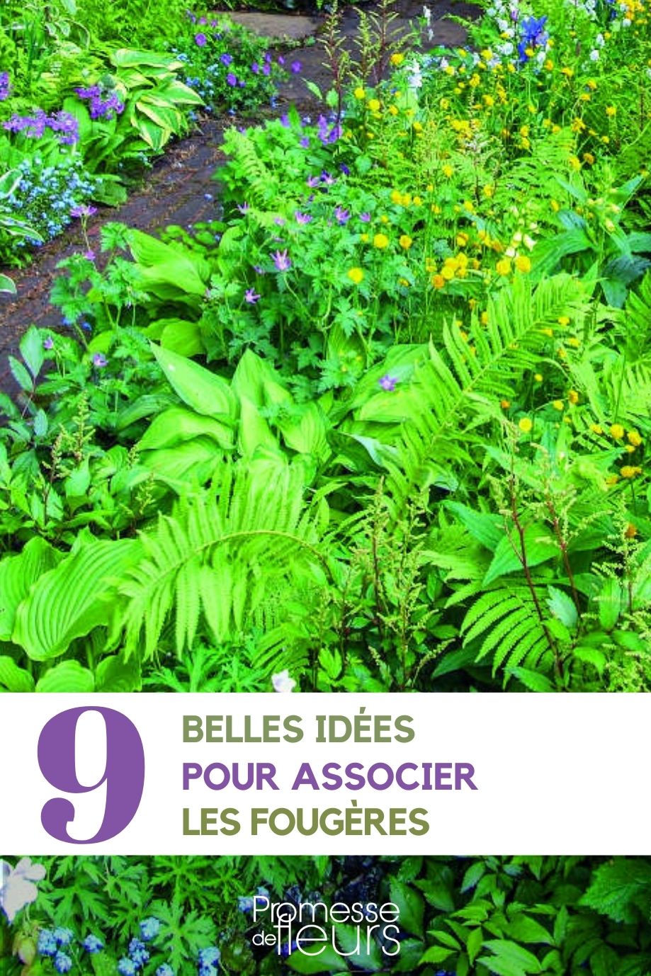 How to Successfully Incorporate Ferns into Your Garden