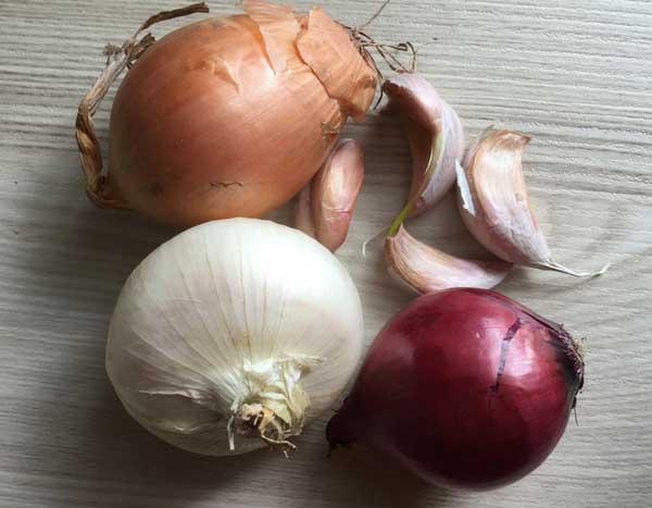 Garlic, onion, shallot… February in the vegetable patch!