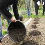 7 ways to learn how to start gardening