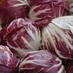 Chicory, a salad to (re)discover in the vegetable patch!