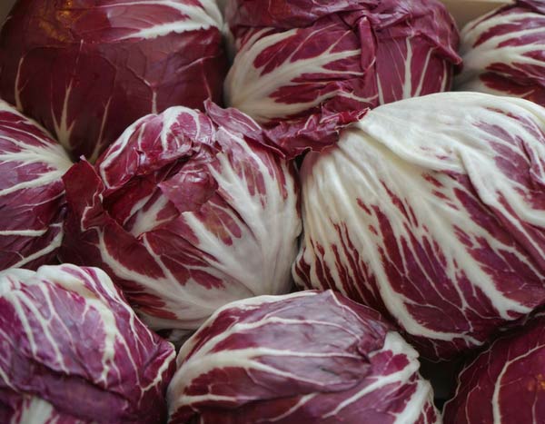 Chicory, a salad to (re)discover in the vegetable patch!