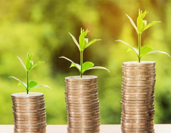 10 tips for gardening on a budget