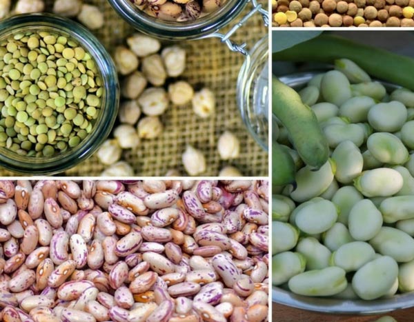 5 good reasons to grow legumes