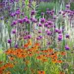 Flowerbed: vary and mix shapes!