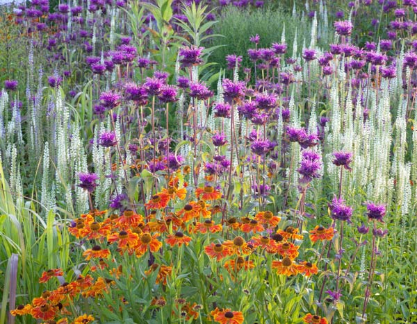 Flowerbed: vary and mix shapes!