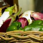 Sow aubergines, peppers and chillies: when and how?