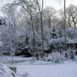 Snow in the garden: great benefits or a real headache?