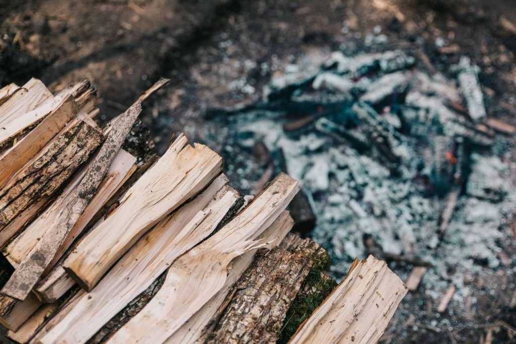 What to do with wood ashes in the garden?