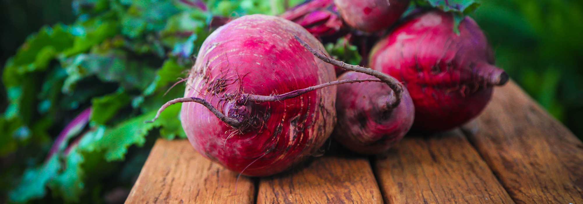 Beetroot: Sowing, Planting, Growing and Harvesting