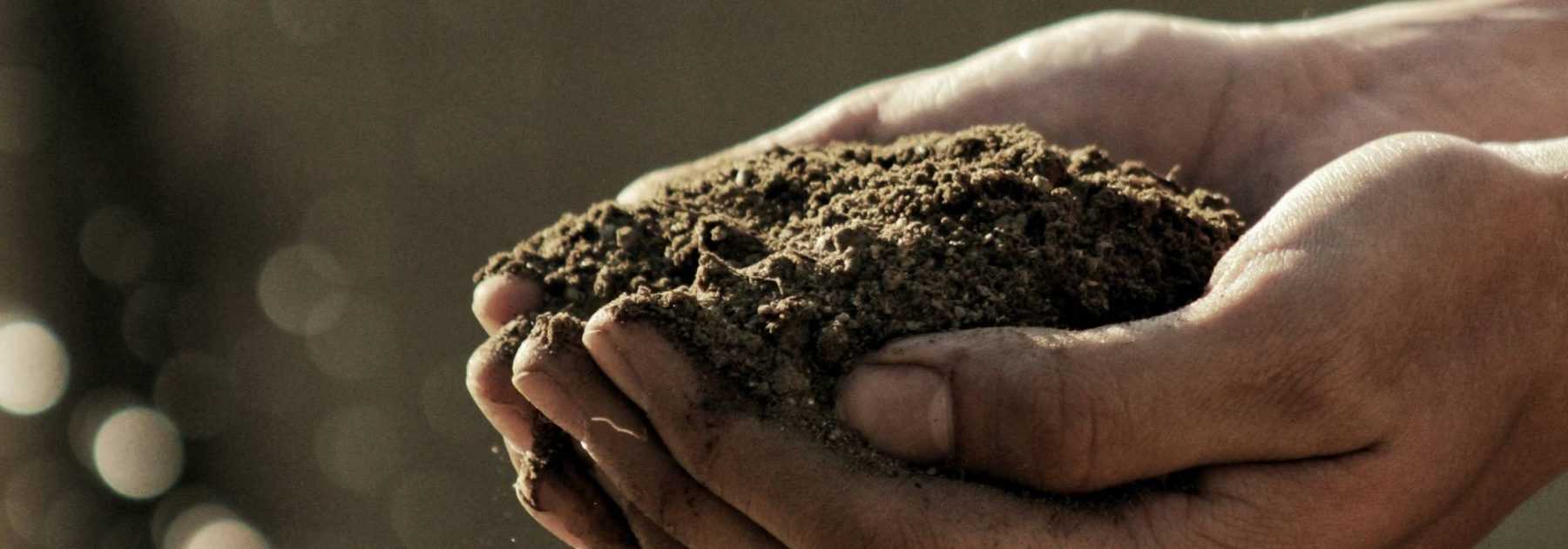 How to choose good compost?