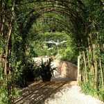 Living willow weaving: hedge, hut...