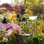 Designing a small garden