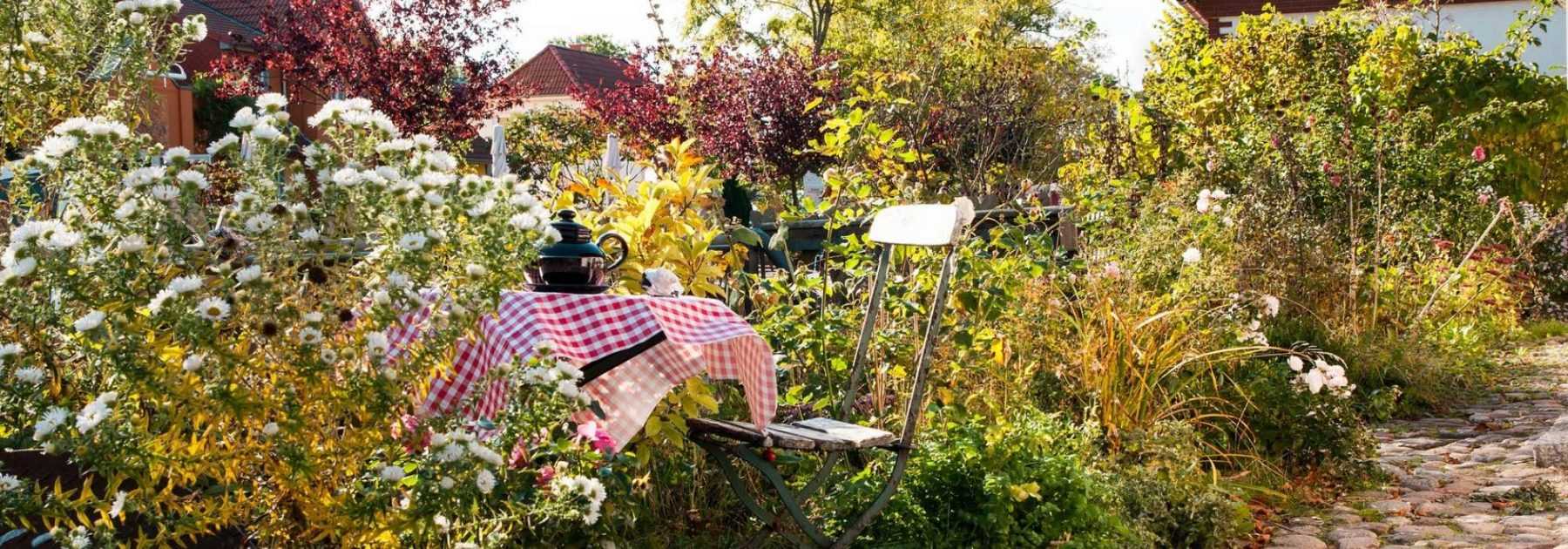 Designing a small garden