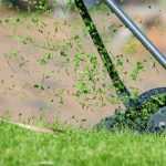 Everything you need to know about mulching, another way to mow