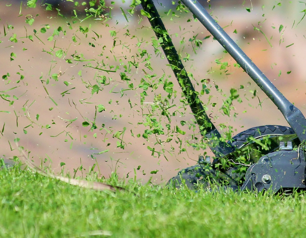 Everything you need to know about mulching, another way to mow