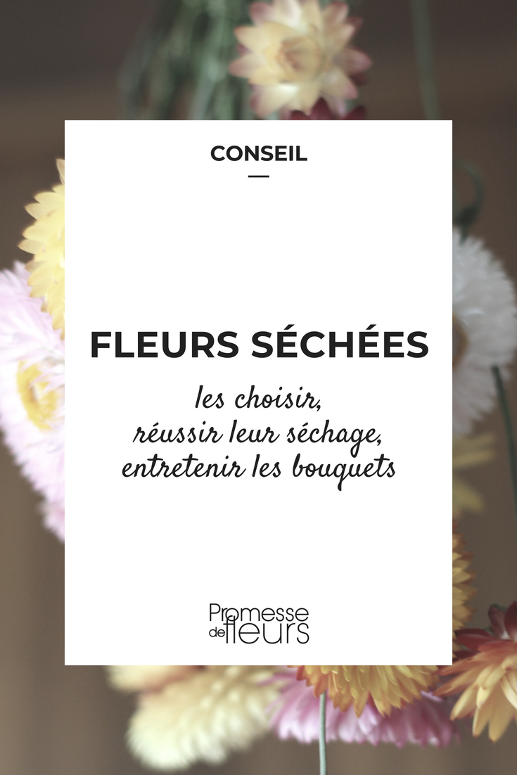 Dried Flowers: Choosing and Successfully Drying Them