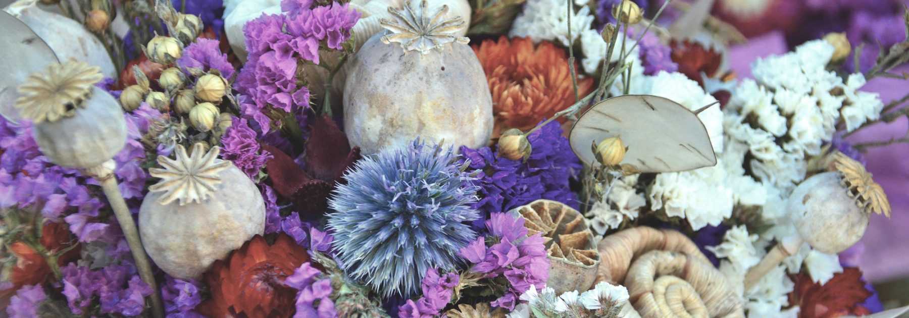 Dried flowers: which ones to choose, how to dry them and maintain your bouquets