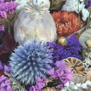 Dried flowers: which ones to choose, how to dry them and maintain your bouquets