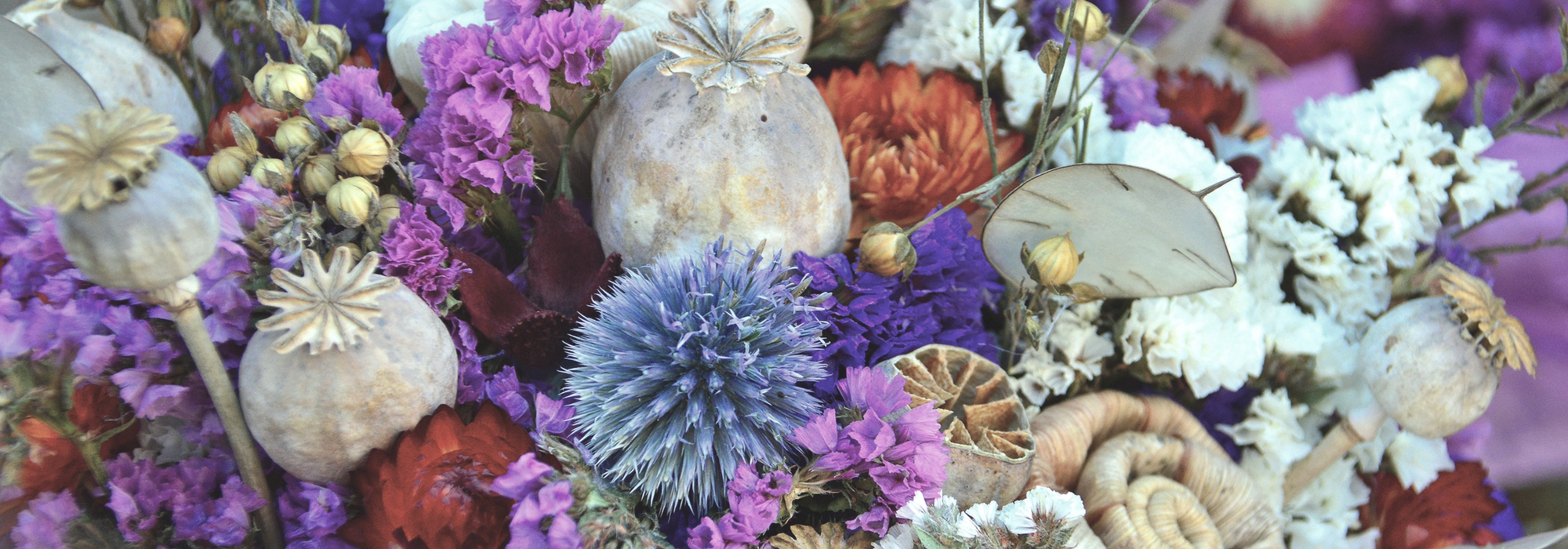Dried flowers: which ones to choose, how to dry them and maintain your bouquets