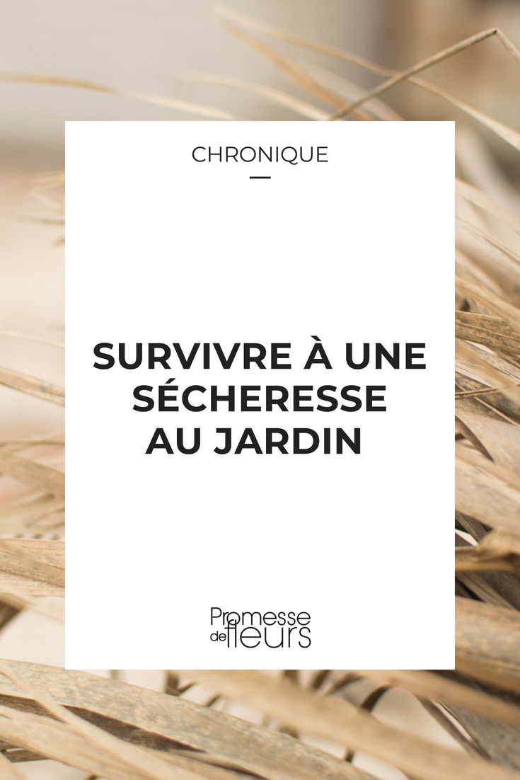 Surviving a Drought in the Garden