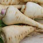 Parsnip: sowing, growing, harvesting, storing