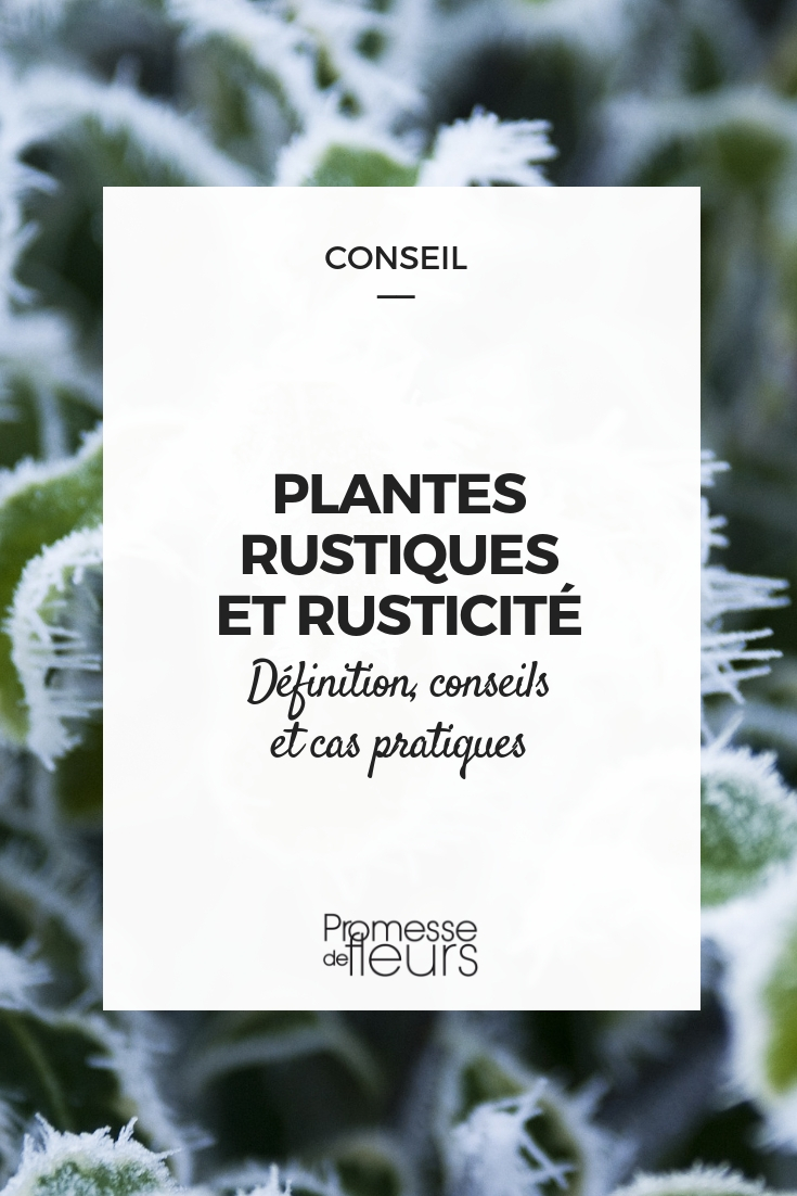 Hardy Plants and Hardiness: Definition, Advice