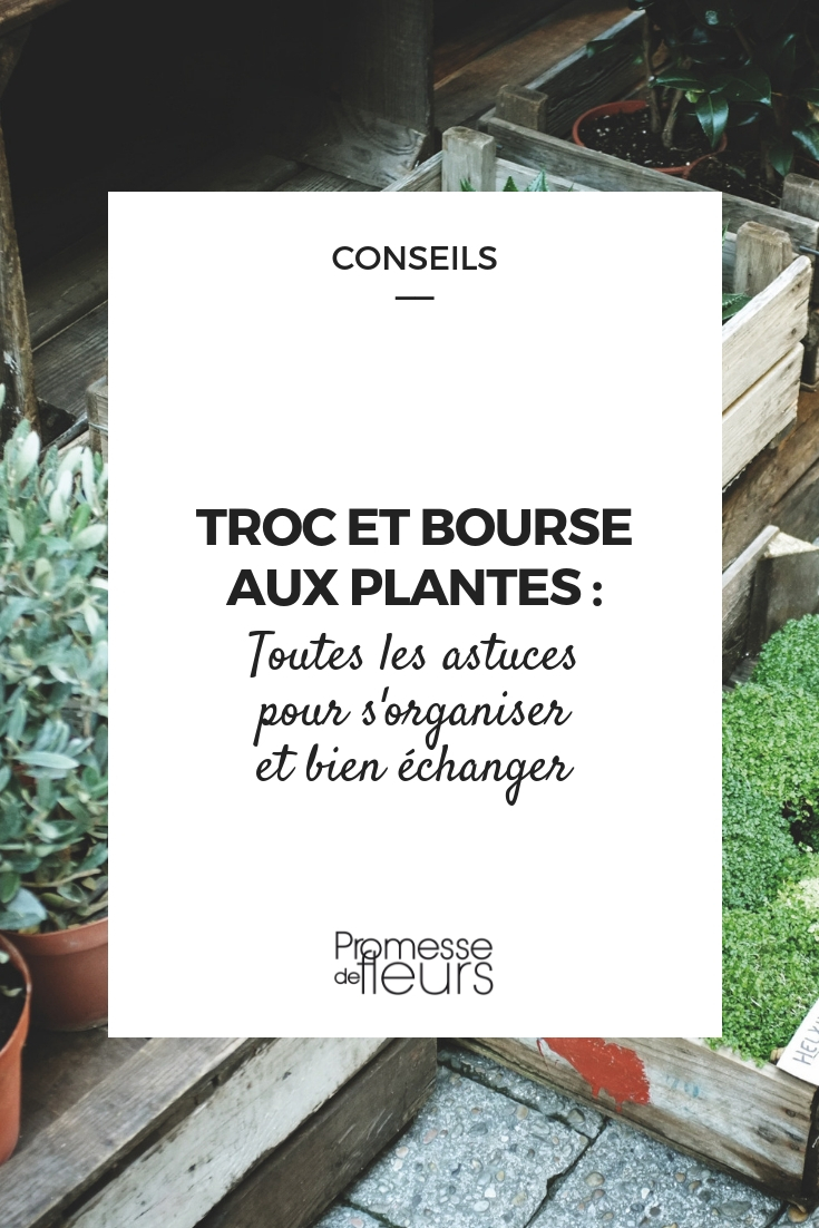 Plant Swaps and Plant Exchanges: How to Organise for Successful Trading