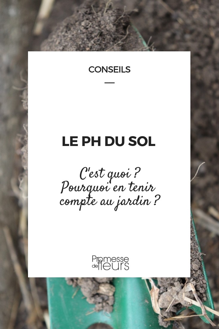 Soil pH in the Garden