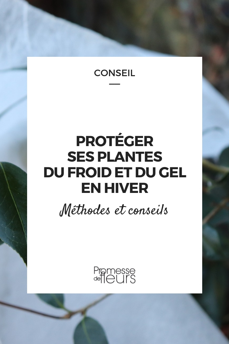 Protecting Your Young Plants from the Cold Protecting Young Plants from Frost and Cold - Tips