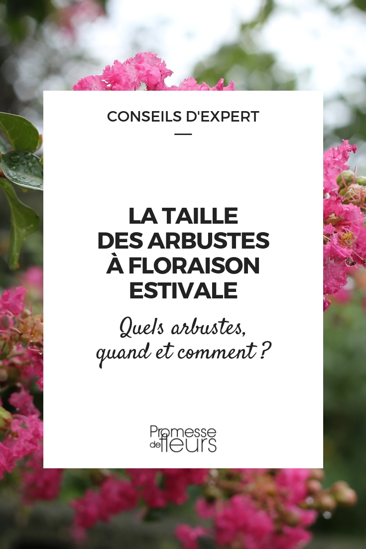 Pruning of Bushes with Summer Flowering Prune the bushes that flower in summer.