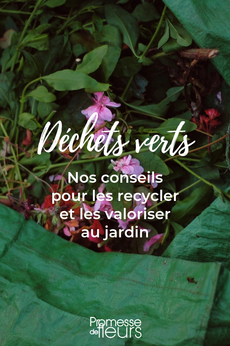 Green Waste: What to Do?