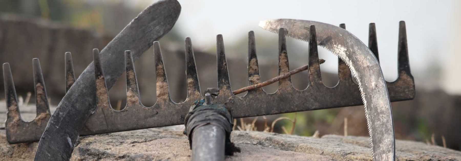 Clean, maintain and protect your garden tools