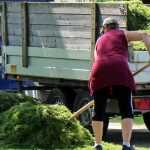 Garden waste: recycling and reuse solutions in the garden