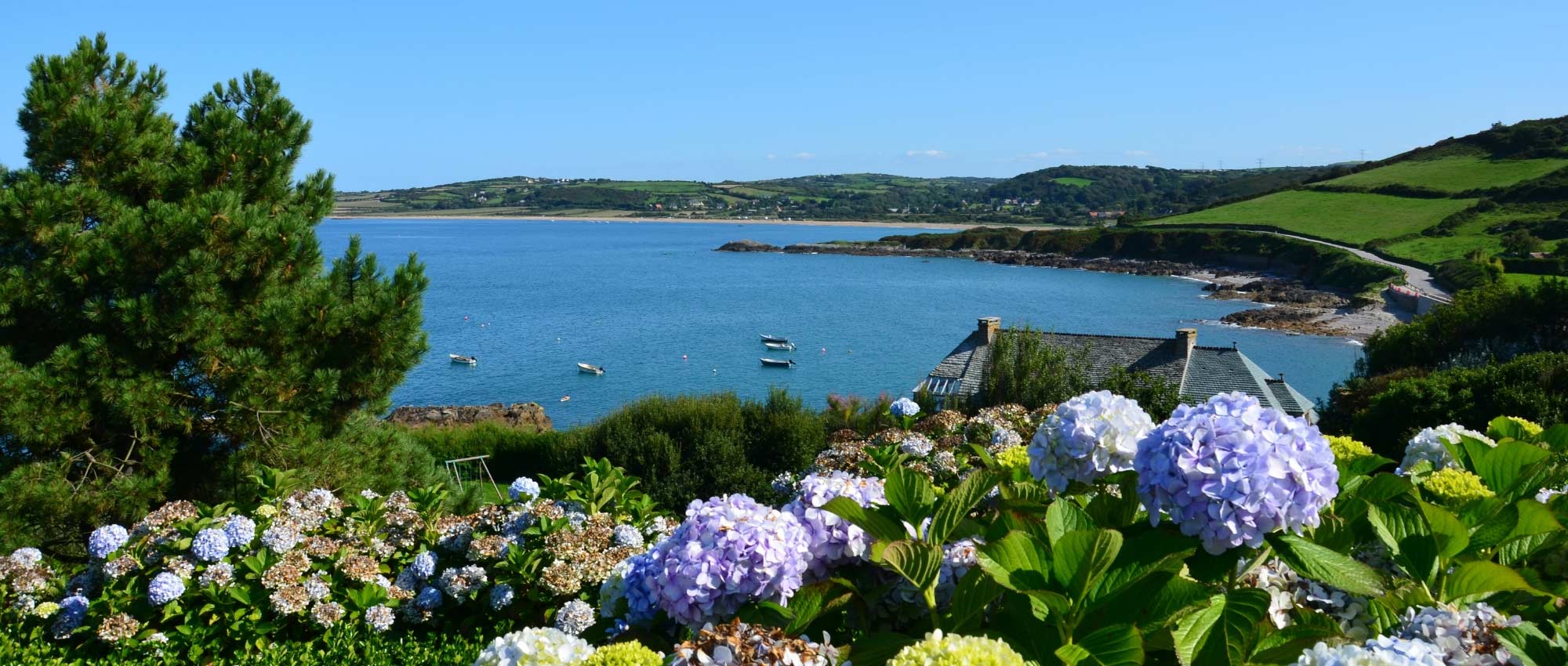 Coastal garden design