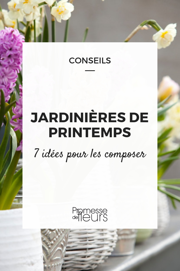 Creating a Spring Planter