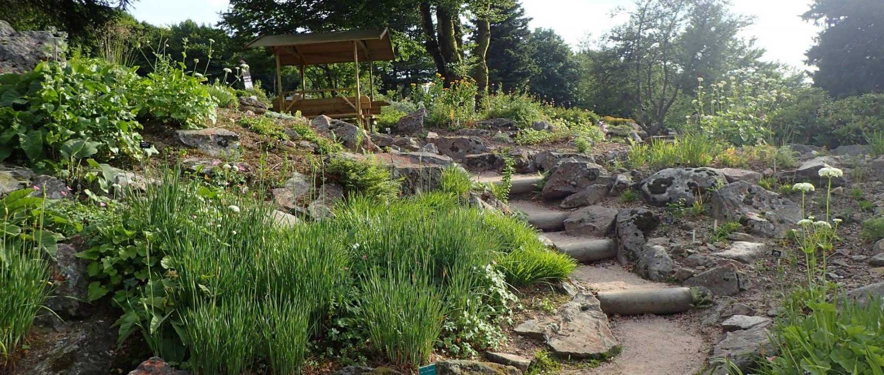 Create a rockery: our tips for success