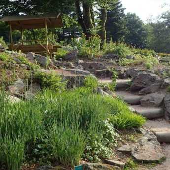 Create a rockery: our tips for success