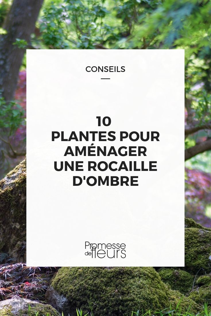 Perennials for Shaded Rock Gardens