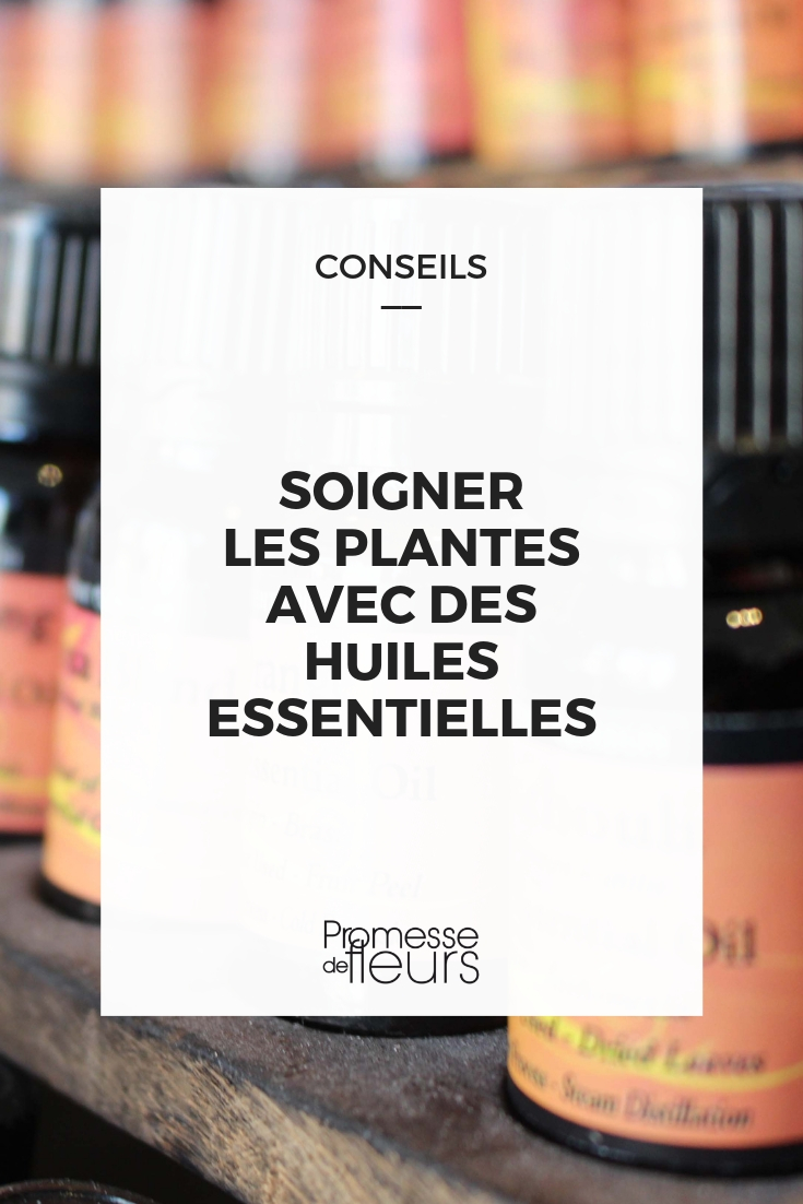 Essential Oil Young Plants (1) Essential Oil Treatment in the Garden
In the realm of gardening, the use of essential oils is gaining traction not only for their aromatic properties but also for their roles in plant care and pest control. Here, we explore how essential oils can be integrated into your gardening practices to enhance the health and vigour of your plants.
### Benefits of Essential Oils in Gardening
Essential oils, concentrated extracts from plants, are renowned for their strong scents and therapeutic properties. In the garden, these oils can serve multiple purposes:
- **Pest Repellent:** Oils such as peppermint, lavender, and eucalyptus can deter pests like aphids, beetles, and mites.
- **Fungal Control:** Tea tree and neem oils are effective against fungal infections that can afflict plants.
- **Plant Growth Stimulant:** Some oils, including lavender and rosemary, can promote healthier and more robust plant growth.
### How to Use Essential Oils in Your Garden
To harness the benefits of essential oils in your garden, follow these guidelines:
1. **Dilution is Key:** Essential oils are potent and should be diluted before use. A common ratio is a few drops of essential oil to a litre of water. Always mix thoroughly.
2. **Application Methods:** You can apply the diluted oil mixture using a spray bottle or add it to your watering can. Spraying is particularly effective for pest and fungal control.
3. **Regular Application:** For best results, apply your essential oil treatments regularly. Once a week is a good starting point, but you may adjust the frequency depending on the specific needs of your garden and the local climate conditions.
4. **Targeted Use:** Apply oils directly to the areas affected by pests or disease, or use them as a preventive measure on healthy plants to maintain their vigour.
### Precautions
While essential oils are natural, they are also powerful. Here are some precautions to keep in mind:
- **Test on a Small Area:** Before widespread application, test the oil on a small part of the plant to ensure it does not cause damage.
- **Avoid Overuse:** Excessive use of oils can harm plants. Stick to recommended dilutions and application frequencies.
- **Consider Plant Sensitivity:** Some plants may be more sensitive to oils than others. Research or consult an expert if you are unsure about the effects on specific plant species.
Integrating essential oils into your gardening routine can be a natural and effective way to enhance plant health and protect against pests. With careful use, these potent botanical extracts can be a gardener's ally in cultivating a thriving garden.